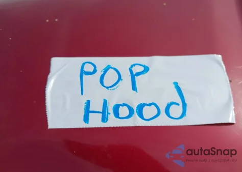 2005 Honda Odyssey Ex-L z USA, uszkodzony, nr VIN 5FNRL38655B406048